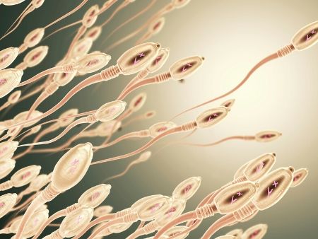 plávajúce spermie